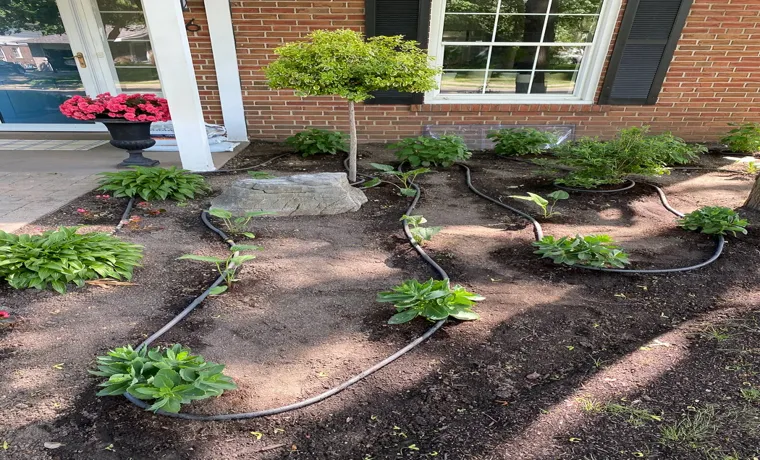how to set up garden soaker hose