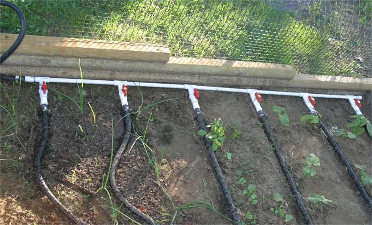 How to Set Up Soaker Hose in Raised Garden Bed: A Step-by-Step Guide
