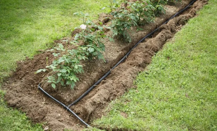 how to use a soaker hose in a vegetable garden
