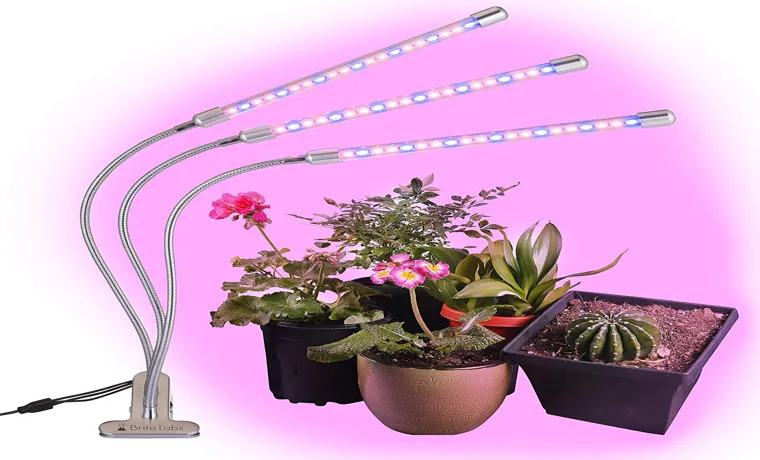 led grow light what does a 1 pound plant look like