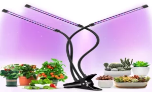 LED Grow Light: What Does a 1 Pound Plant Look Like? The Ultimate Guide