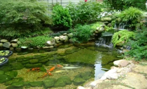 What Can You Use Besides a Pond Liner? Innovative Alternatives for Your Water Feature