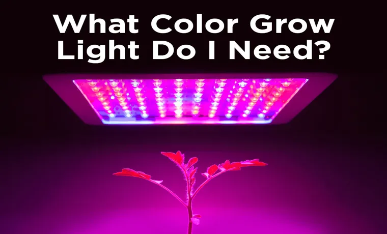 what color led grow light 2