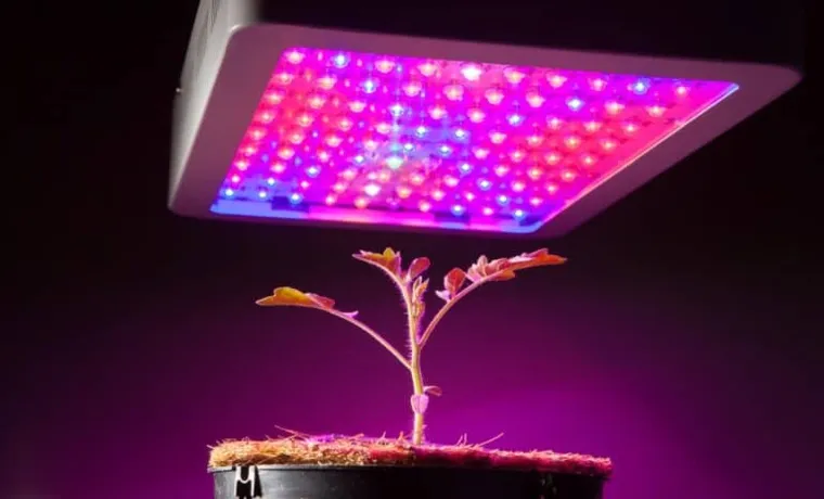 what color led grow light is best 2