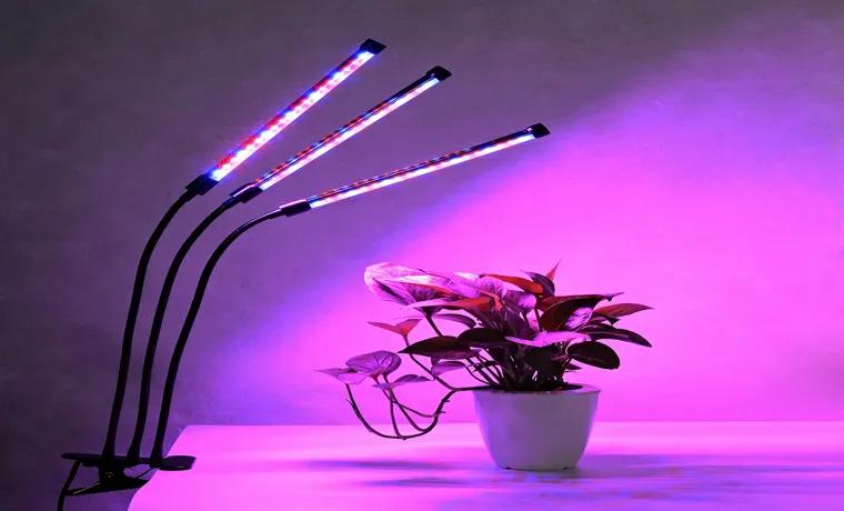 what color led grow light is best