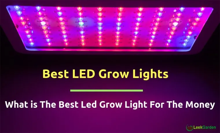 what is the best led grow light