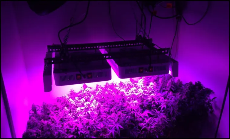 what is the best led grow light for the money