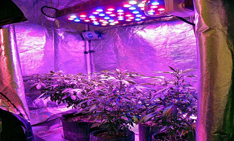what led grow light do i need to grow 2 marijauna plants to harvest indoors in a 2x3 space 2
