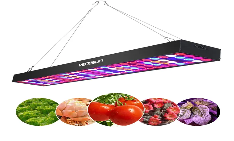 what led grow light is good for a 5 by 5 grow tent