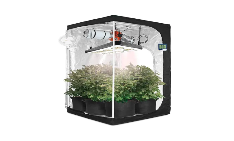 what led grow light will cover 25 square feet
