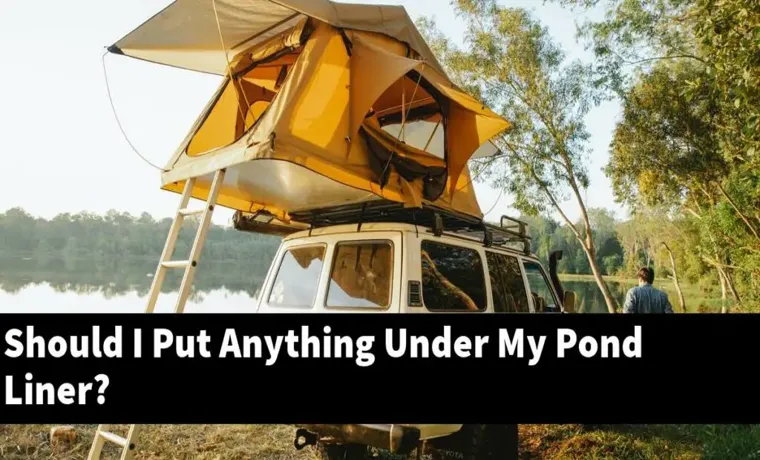 what to put under pond liner