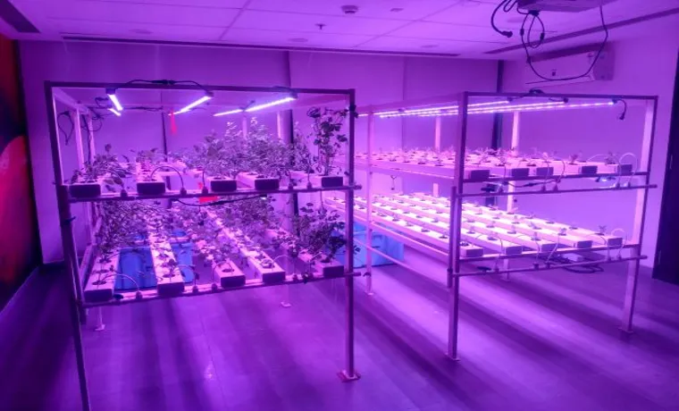 what wattage led grow light to start seeds